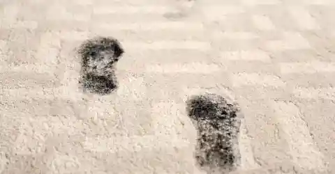 The Signs Were Everywhere