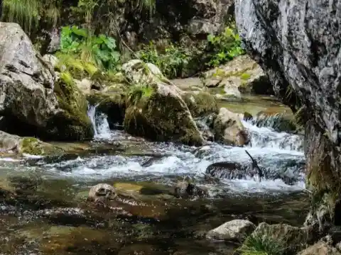 It Should’ve Been Fine