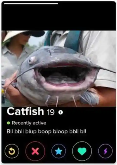 A Literal Catfish