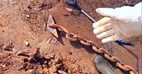 They Were Speechless