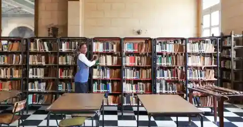 Professional Level Artistry