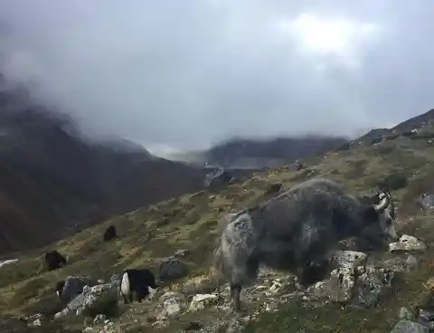  Nepal’s Mountain View