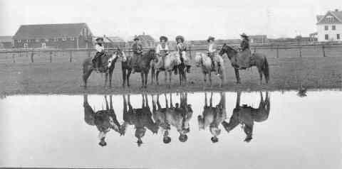 Cowgirls Congregating At A Watering Hole