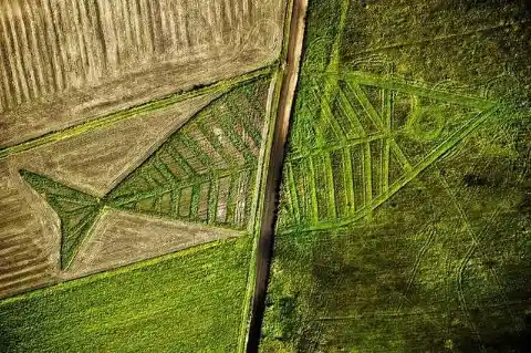 A Big Fish Across the Polish and Ukrainian Border