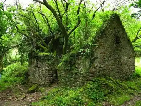 Abandoned Cottage - Kerry Way Walking Path, Ireland