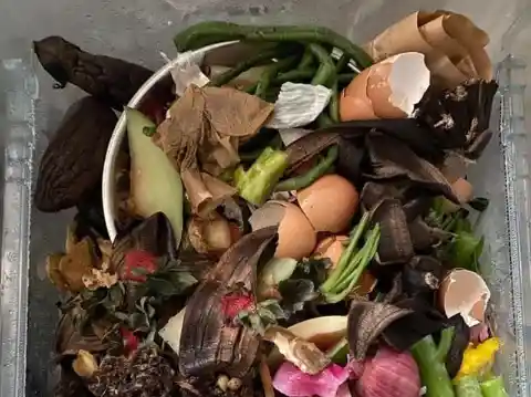 Convert Kitchen Scraps into Garden Fertilizer