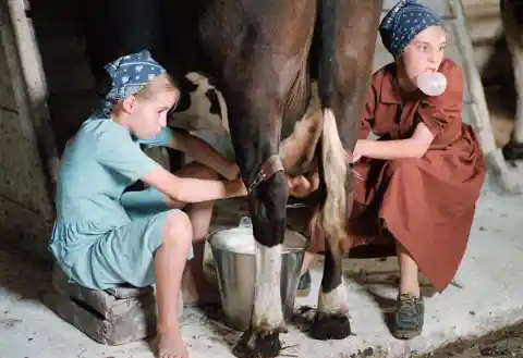 La sociedad amish actúa como una escuela de formación profesional