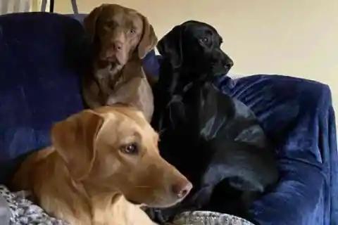 安全な場所を求めて