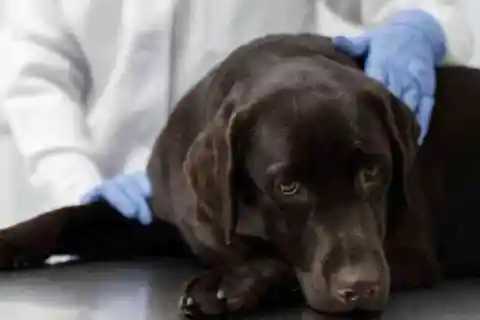 열두 개의 작은 기적