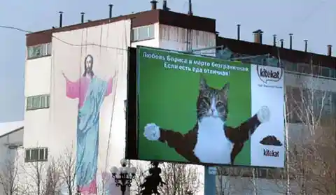 Jesus Cat