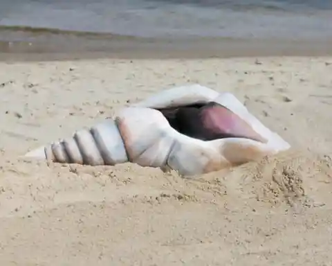 Taking Body Art To The Shore