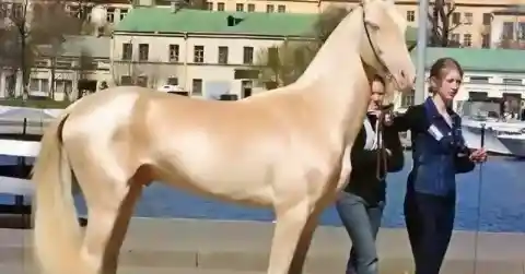 Something Was Not Right 