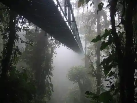 Monteverde Cloud Forest – Costa Rica