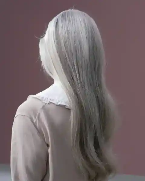 선택지