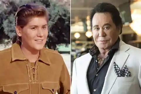Wayne Newton – Born in 1942