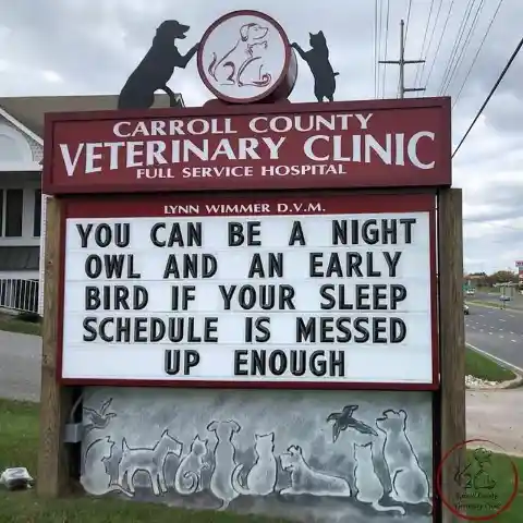 45 Signs To Make Your Pet's Vet Visit Enjoyable For Both Of You