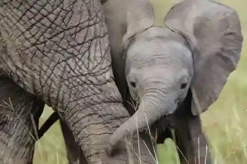 ただの救助以上