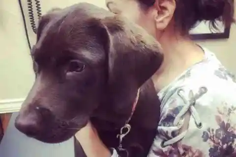 ローラはすぐに彼らのサポートを必要としていました