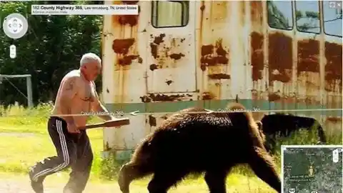 Old Man vs. The Bear