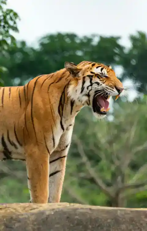 Scared to approach