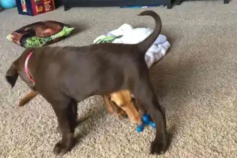 태어날 때부터 특별하고 유일했다