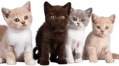 まだ小さすぎる