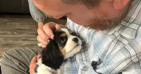 A Lasting Bond