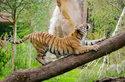 Time to stretch