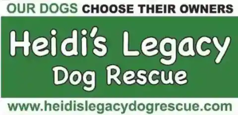 Donations And Adoptions