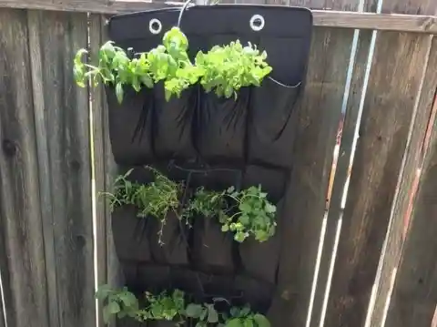 40 Genius Gardening Hacks for a Wonderful Harvest