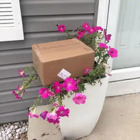 Plants vs. parcels