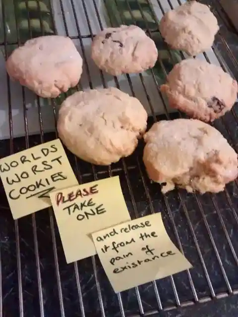 World's Worst Cookies