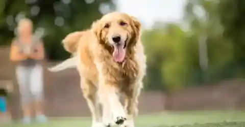 Meet the Turner Family