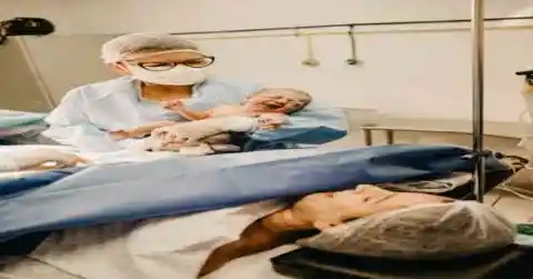 Abandoned Newborn Discovered: The Unlikely Hero, a Mother Dog