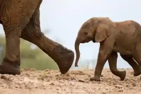 ハッピーエンド