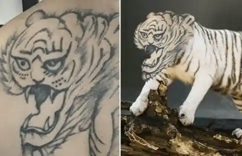 Le tigre qui n'était pas terrifiant