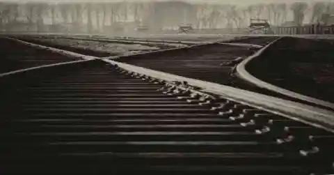 Mysterious Tracks: A Heart-Pounding Trail of Discovery