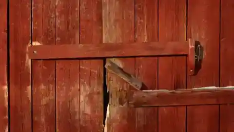 納屋をくまなく探す