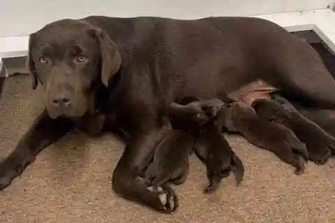 밝혀진 열두 개의 작은 단서들