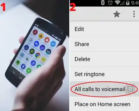 Move All Calls To Voicemail