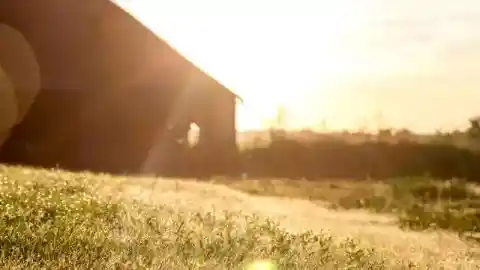 何も異常はない