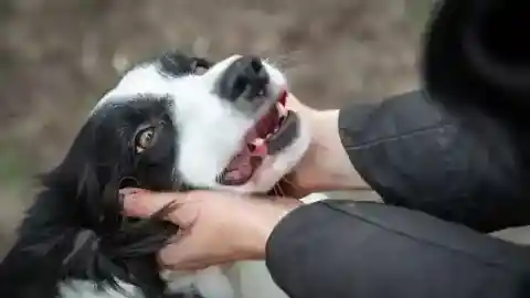 맥스의 역할을 깨닫다