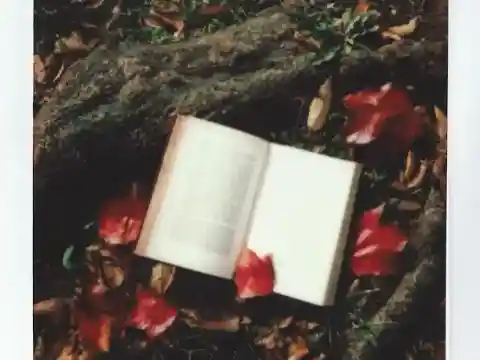 Highlight of My Time