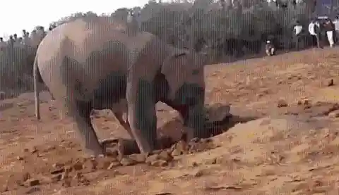 모든 것이 변하다