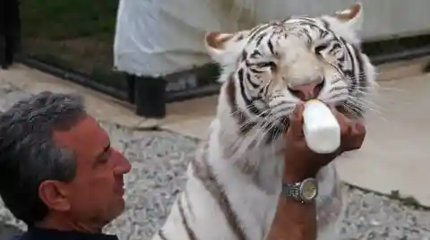 永遠のトリビュート