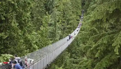 Capilano Suspension Bridge – Canada