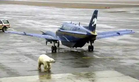 Twilight Zone: The Wackiest Photos Ever Taken At Airports