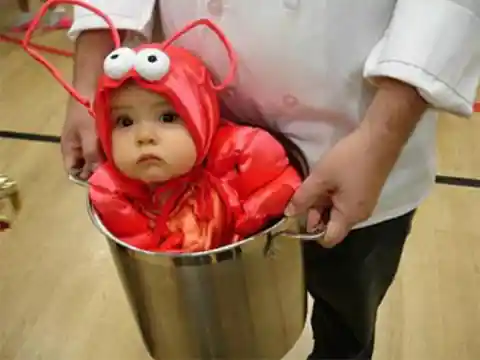 The Littlest Lobster