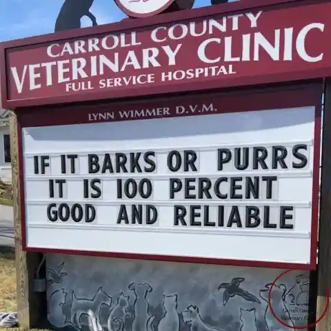 45 Signs To Make Your Pet's Vet Visit Enjoyable For Both Of You