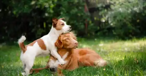 Placing Themselves Between You and Strangers